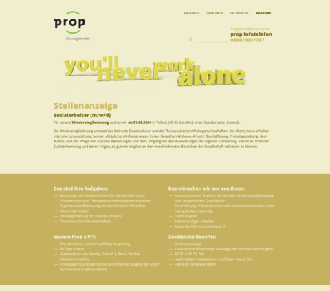 Screenshot TYPO3 Extension - Stellenanzeige im Karriereportal
